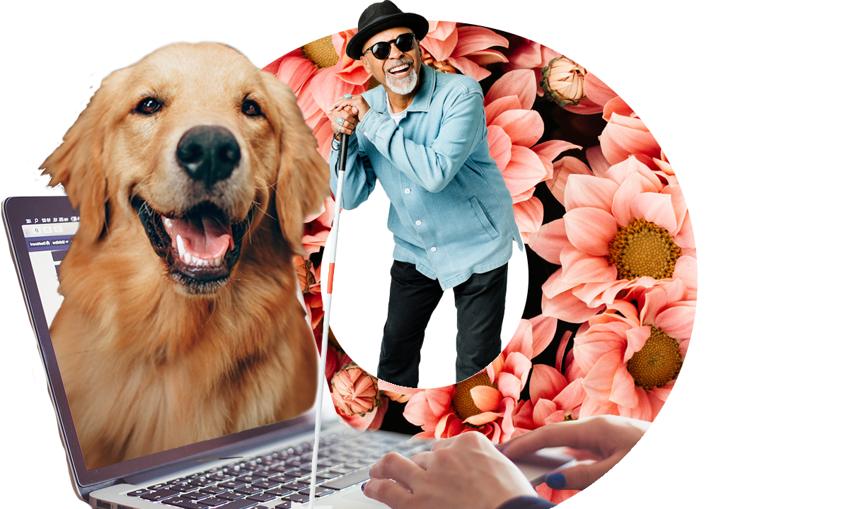 Placeholder image à remplacer